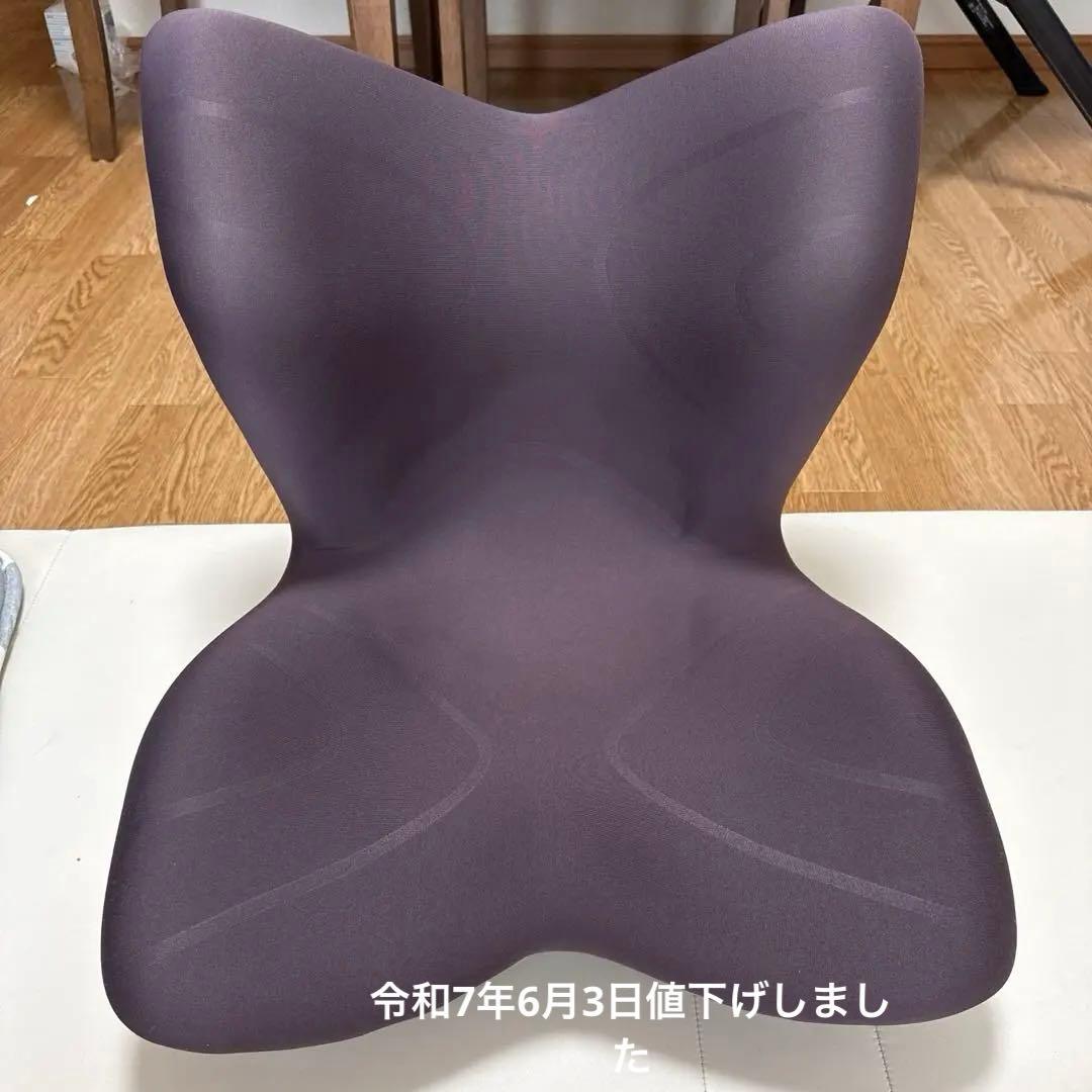 スタイルプレミアム Style PREMIUM Style（スタイル） ○ポイント10倍！○ MTG公式ストア 座椅子