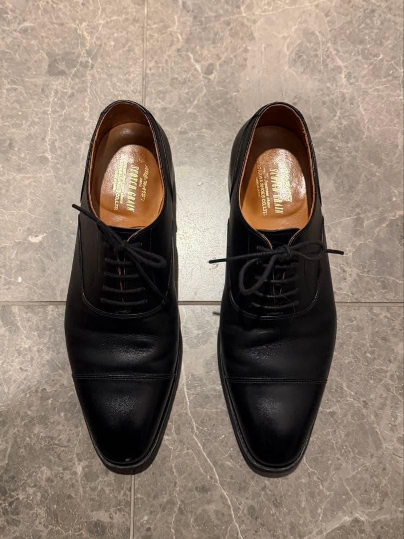 【木製シューキーパー付属】スコッチグレイン T0286 25.0cm