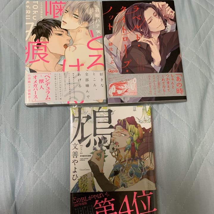 BL 漫画 26冊セット