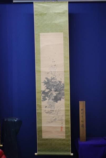 真作/山内多門/江村群鳥/桐共箱付/布袋屋掛軸HC-439 - メルカリ