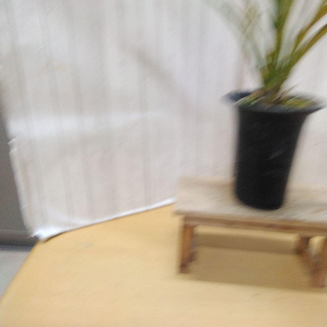 蜜蜂蘭 キンリョウヘン 常盤錦 花芽付 4号鉢 2個セット - メルカリ