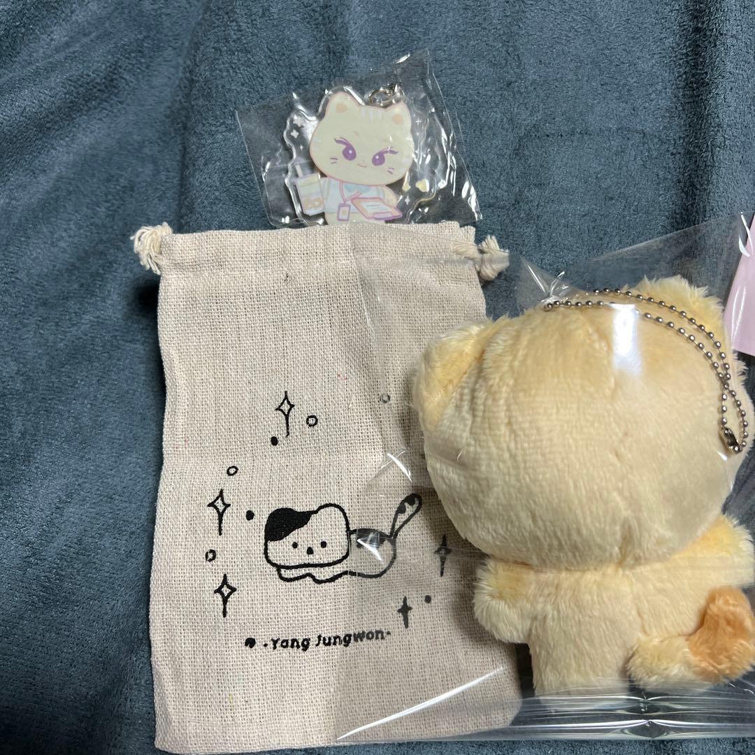 enhypen ジョンウォン ぬいぐるみ 10cm 新品 マスター - メルカリ