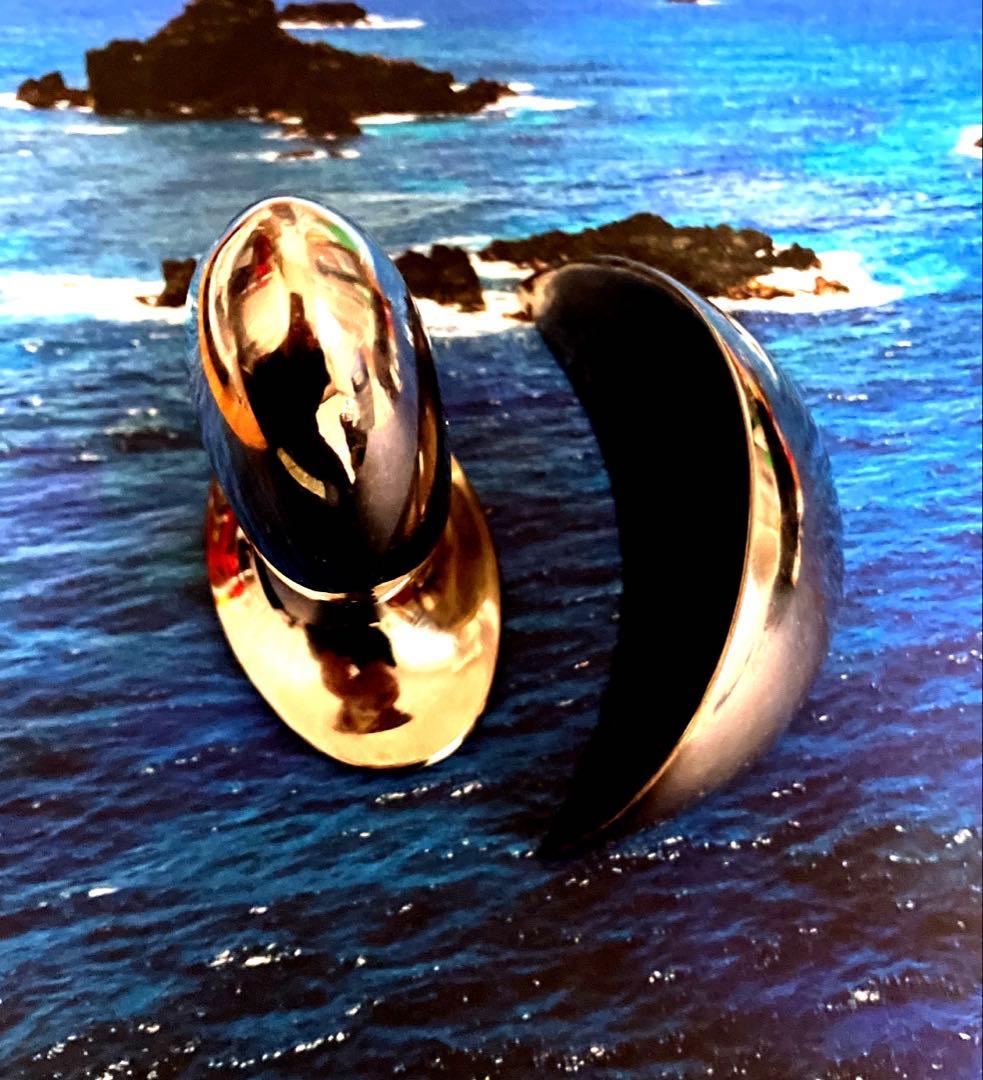 足立育朗氏 VEIN 振動波調整VEIN/FLOWGH ベイン フロウグ - メルカリ