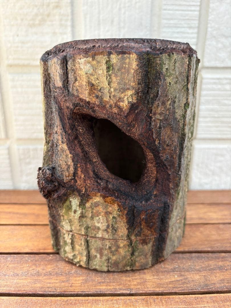 クワガタ隠れ家、クワリウム、樹洞、うろ、昆虫えさ台、登り木