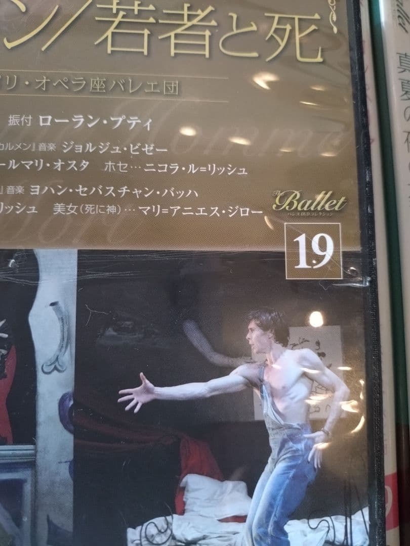 バレエ　DVD　ガイドブック付　お値下げしました