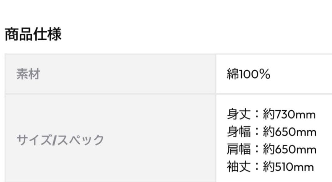 山田涼介 LEO ビッグパーカー バックプリント Lサイズ ジップパーカー