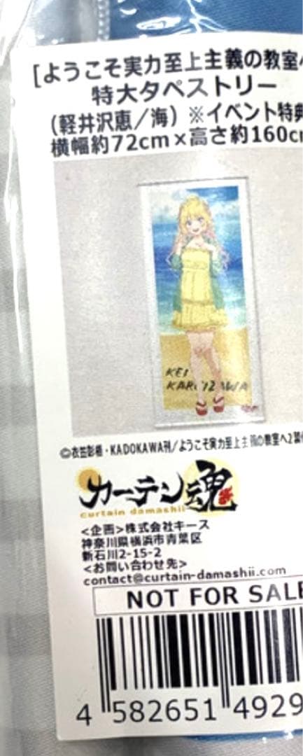 ようこそ実力至上主義の教室へ 当選品 軽井沢恵 特大タペストリー 海野