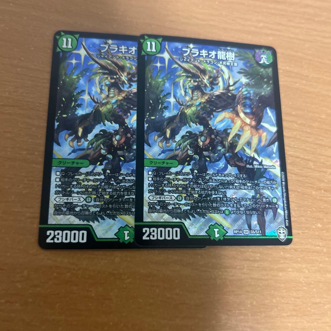 ブラキオ龍樹 2枚 - メルカリ