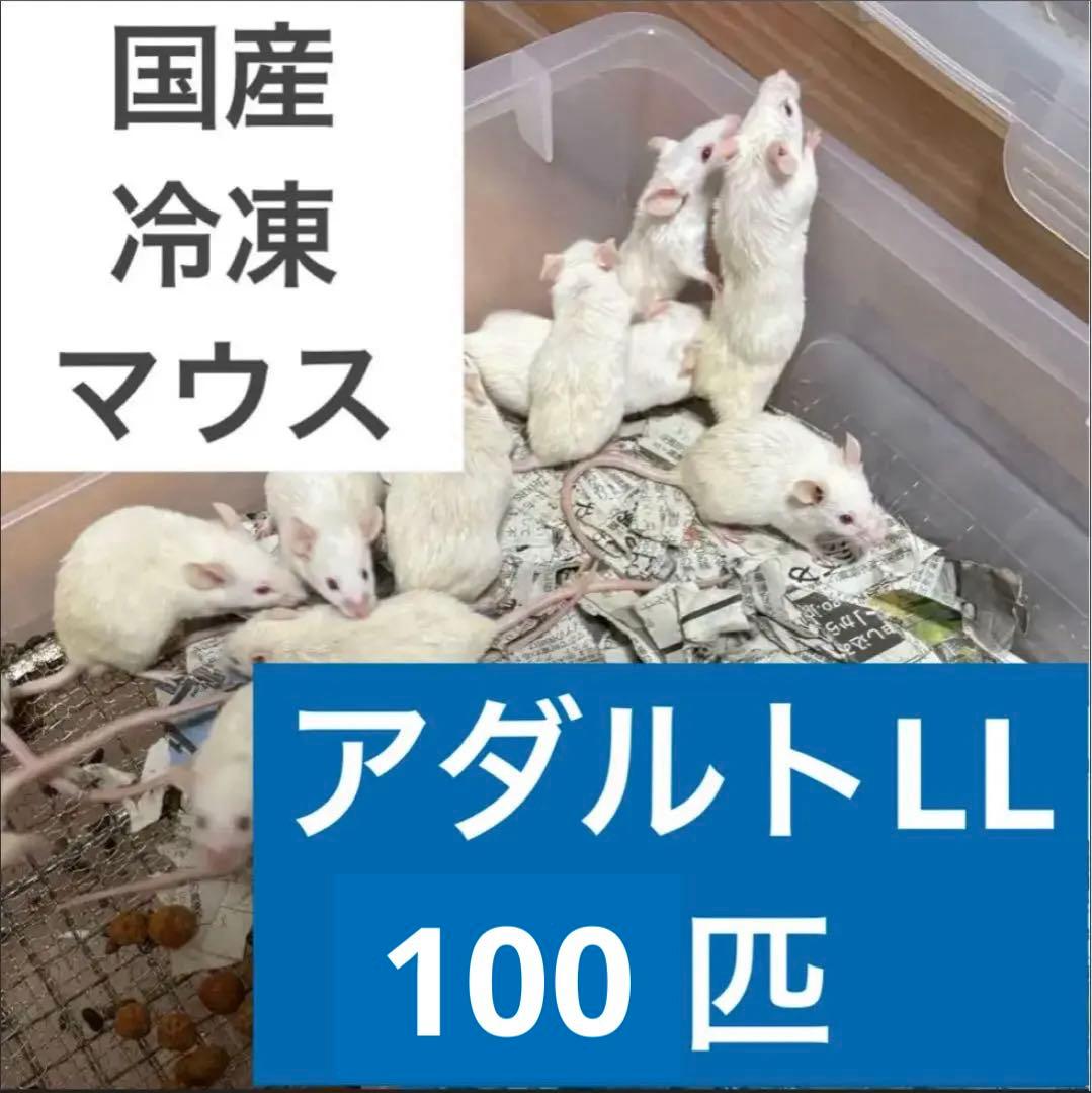 takemaru　冷凍マウス アダルトLL 100匹セット 送料無料