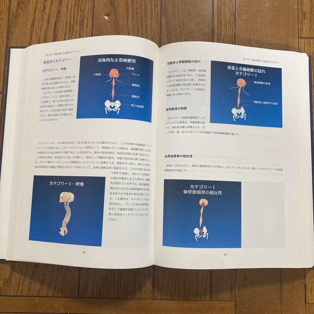 CHIROPRACTIC 脊椎治療の理論と技術