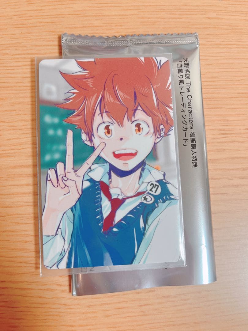 天野明展 購入特典 沢田綱吉 自撮り風カード 家庭教師ヒットマンREBORN