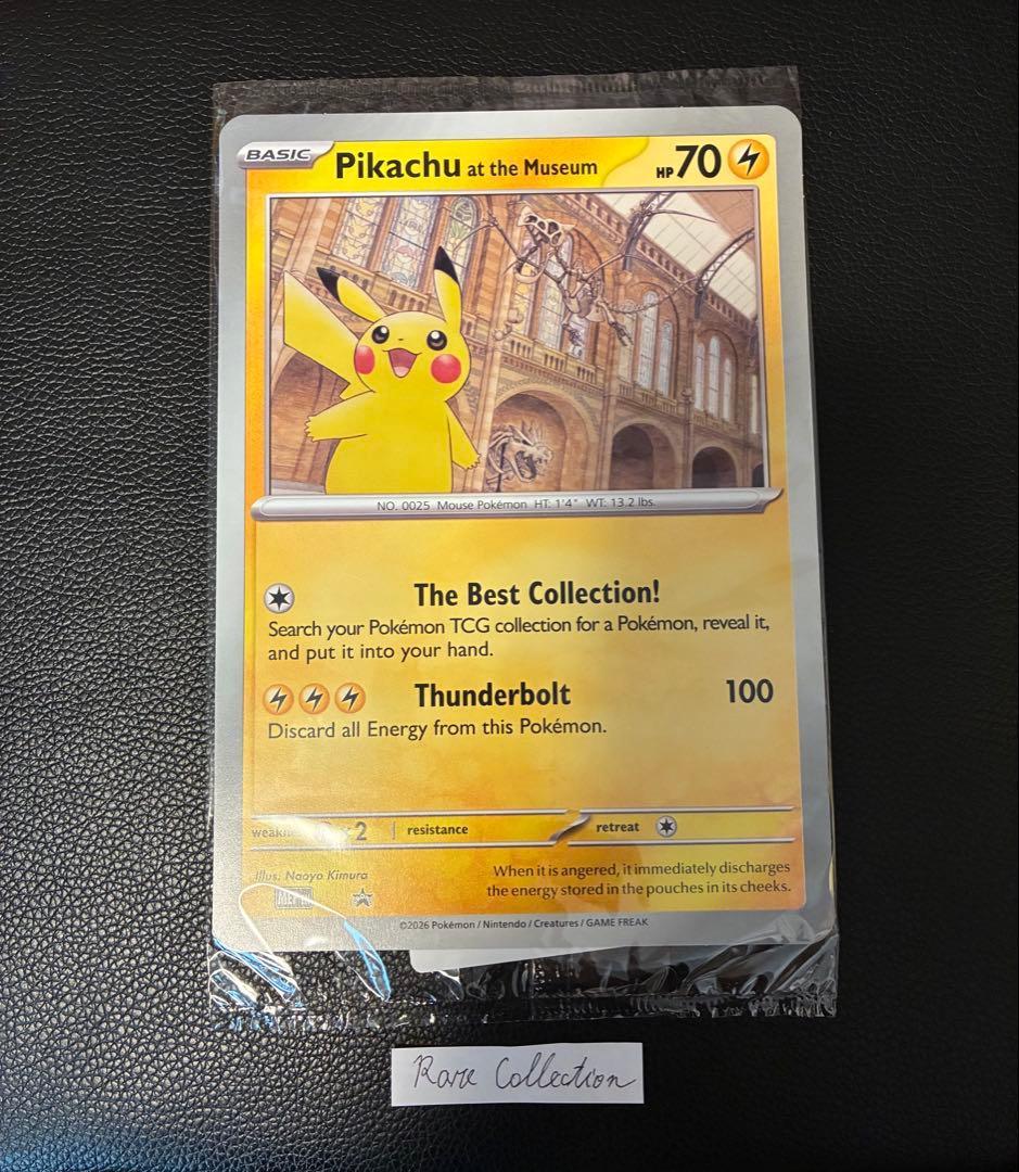 Pikachu at the Museum ピカチュウ ロンドン自然史博物館10 - メルカリ