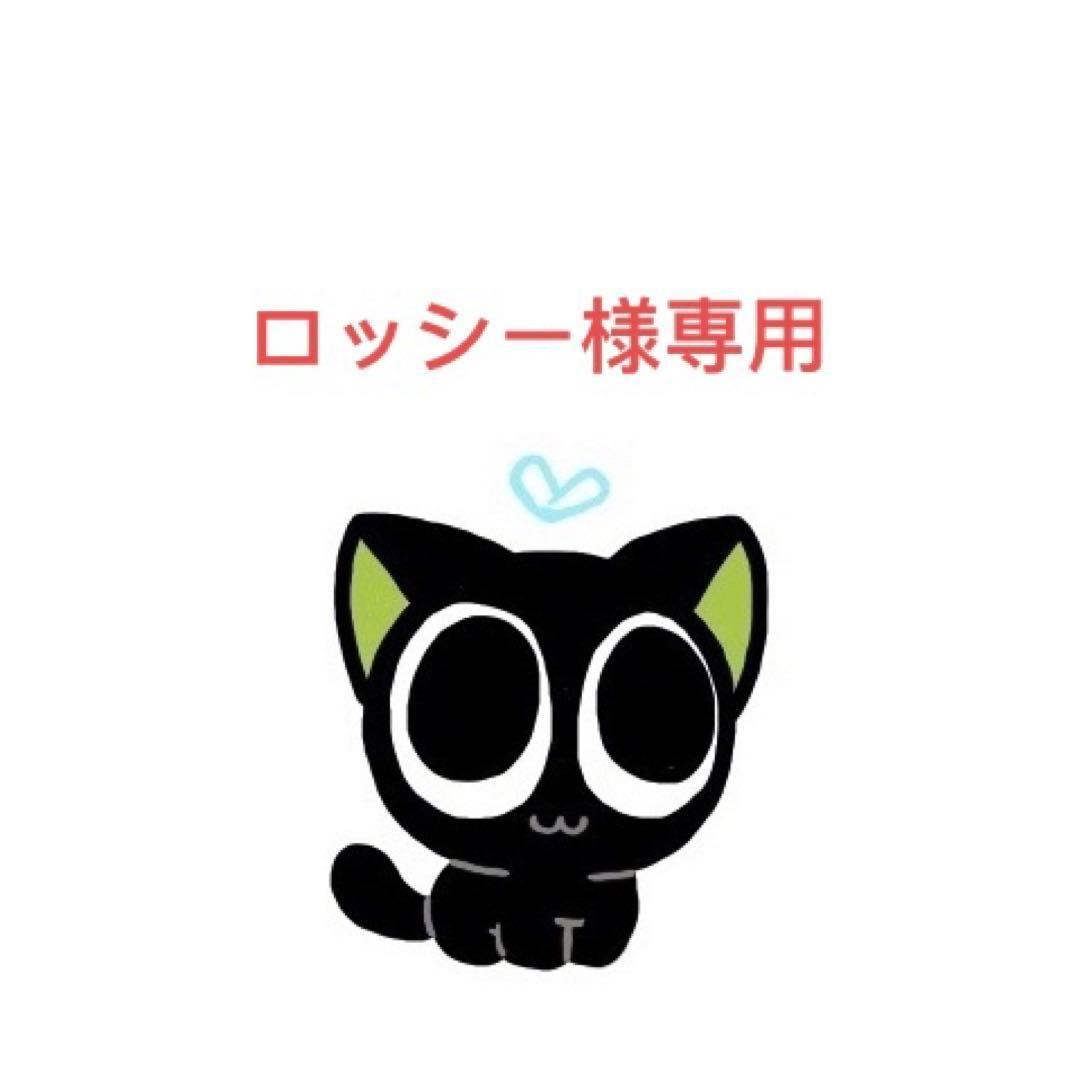 ロッシー様 近鉄 5820系（大阪線 大阪・関西万博ラッピングトレイン）6両