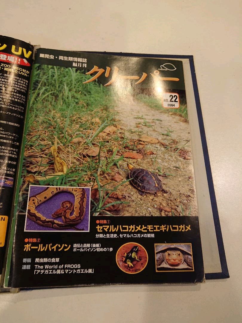 クリーパー 6冊 爬虫・両生類情報誌 創刊3号No.6・8・11・20・22