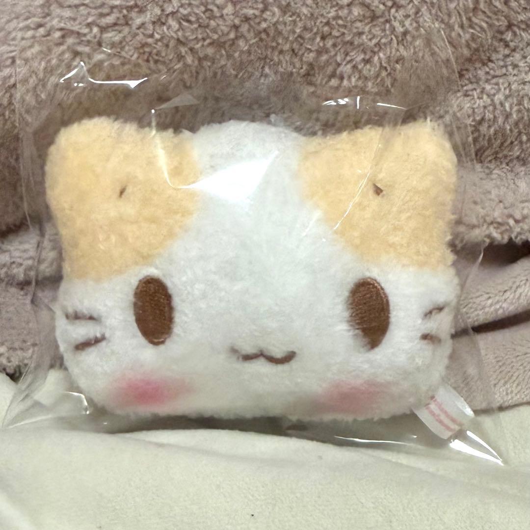 マシュマロみたいなふわふわにゃんこ SPINNS - メルカリ