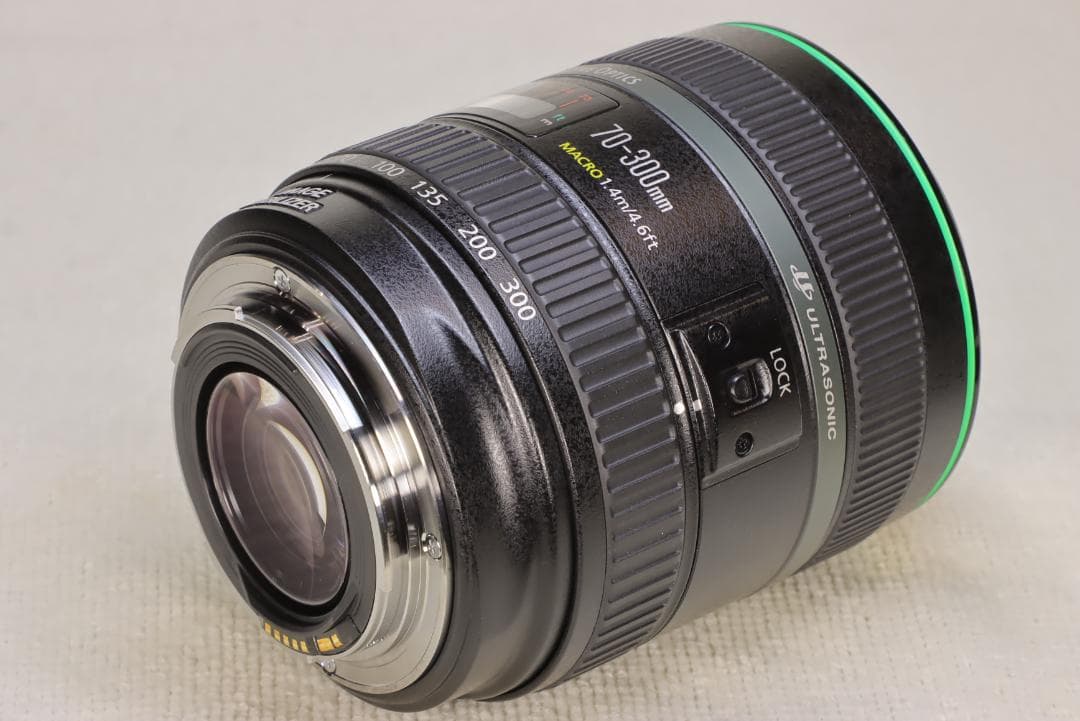 EF70-300mm F4.5-5.6 DO IS USM【高解像感・作例あり】