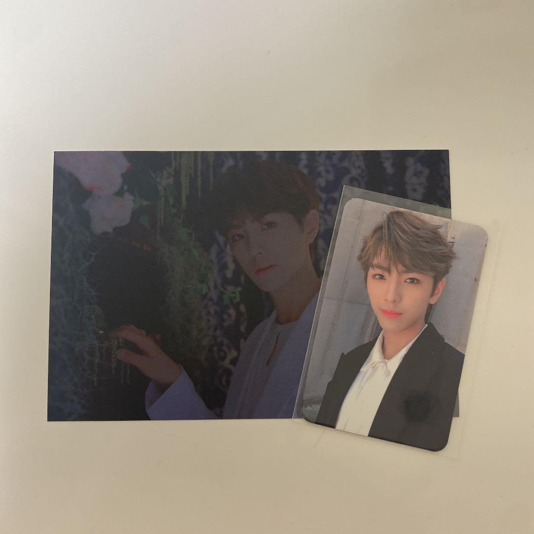 straykids オンラインくじ全員直筆サイン入りTシャツスキズサウナの