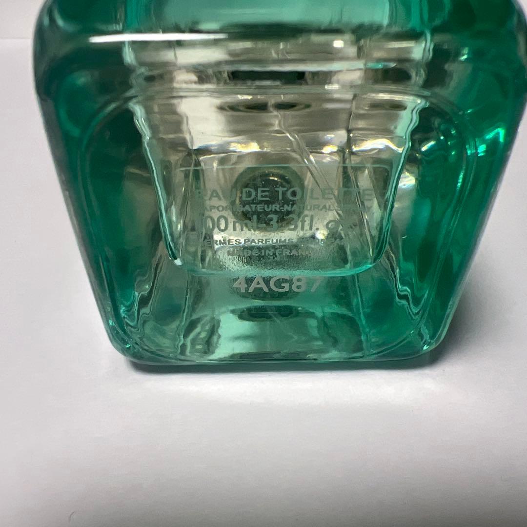 エルメス　《ナイルの庭》　100ml オードトワレ