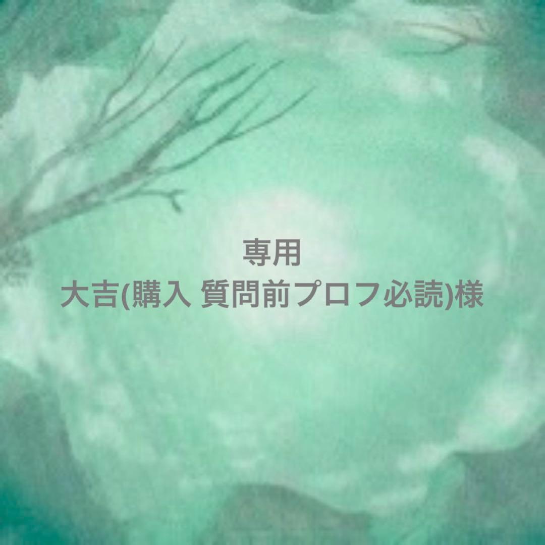 専用ページ 大吉(購入 質問前プロフ必読)様 - メルカリ