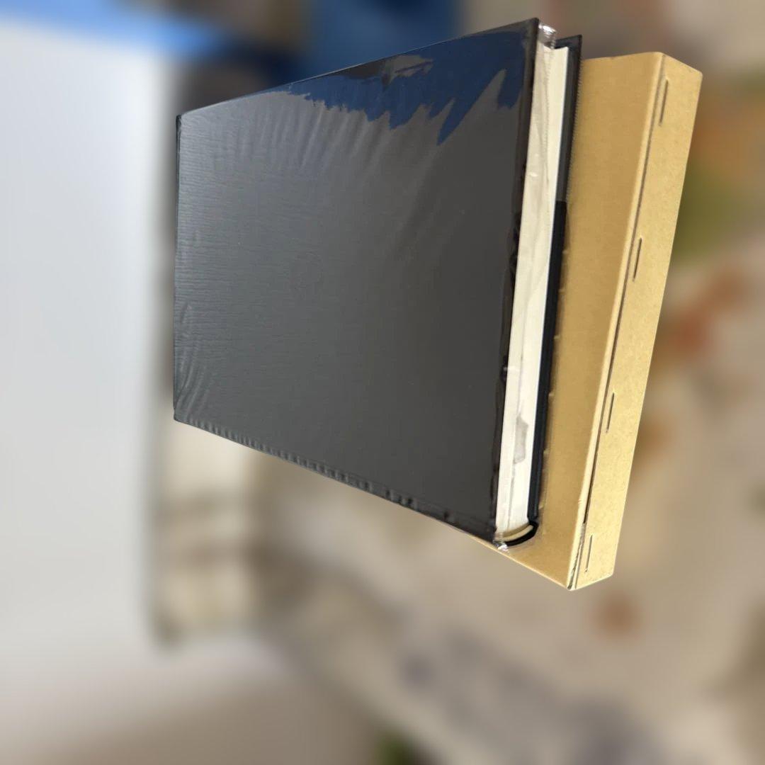 『中国語を第一言語とする日本語学習者の同形語の認知処理』(小森和子）「専門書」