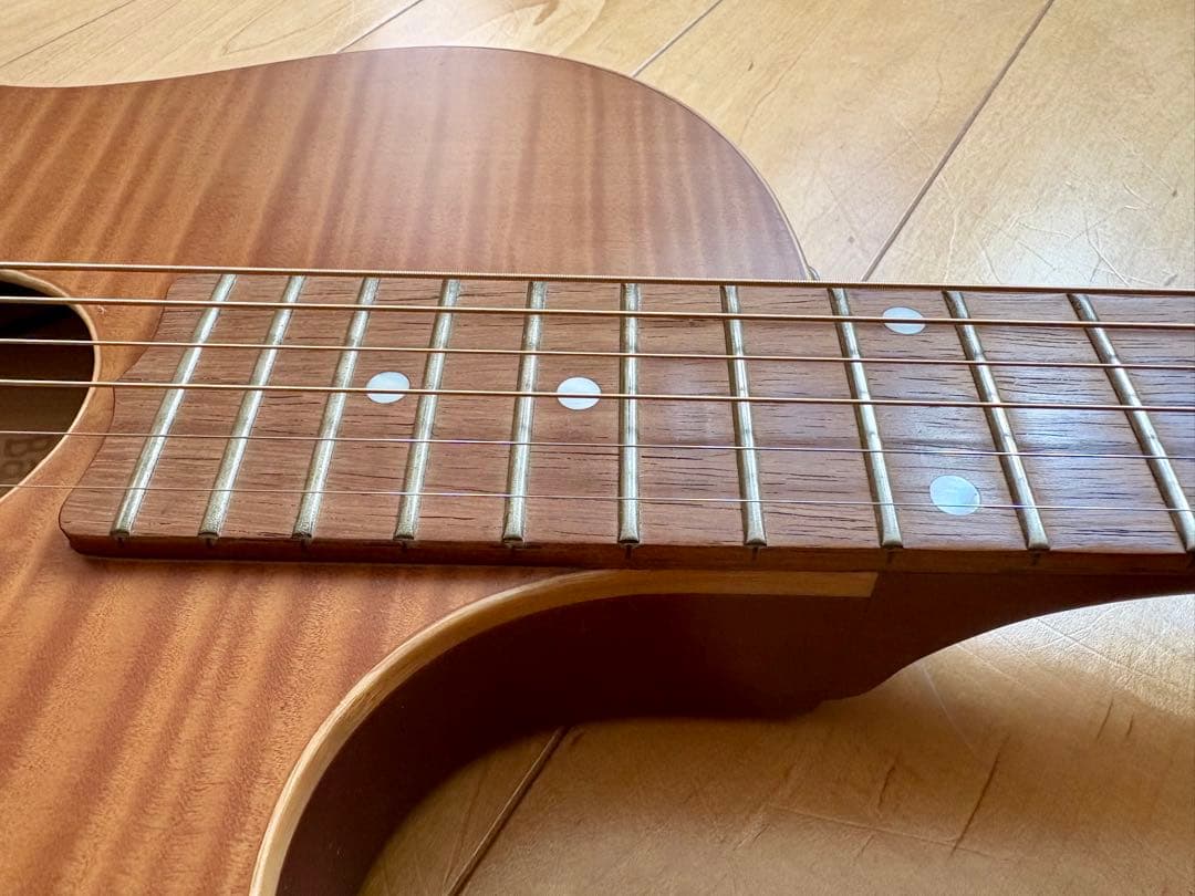 希少】ESP Char 監修BambooInn-CE バンブーイン エレアコ - メルカリ