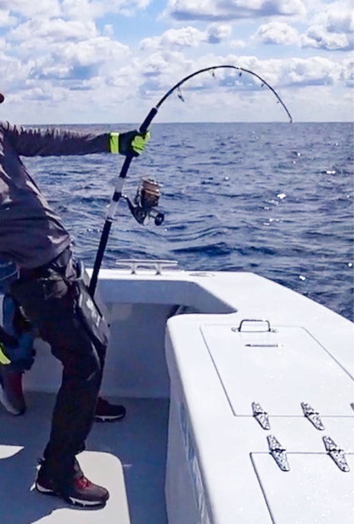 剛樹MOGIスペシャルMH16-S 中古 - メルカリ