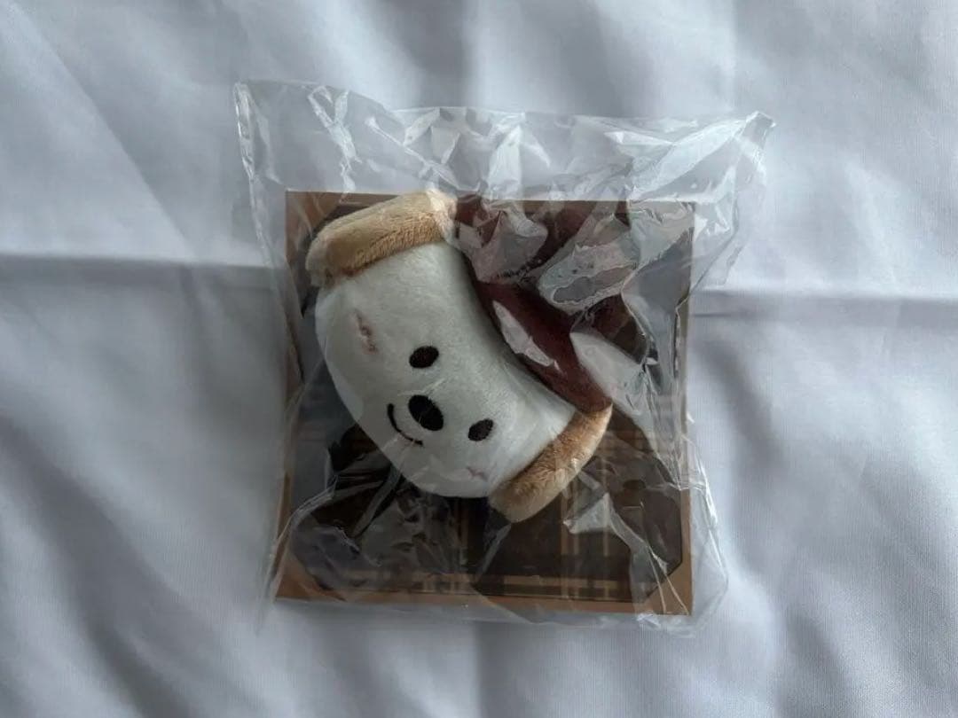 RIIZE 日本ペンミ　アントン　モンリョンイ　ぬいぐるみバッジ　トレカ付 RIIZE アントン モンリョンイ ぬいぐるみバッジ - メルカリ