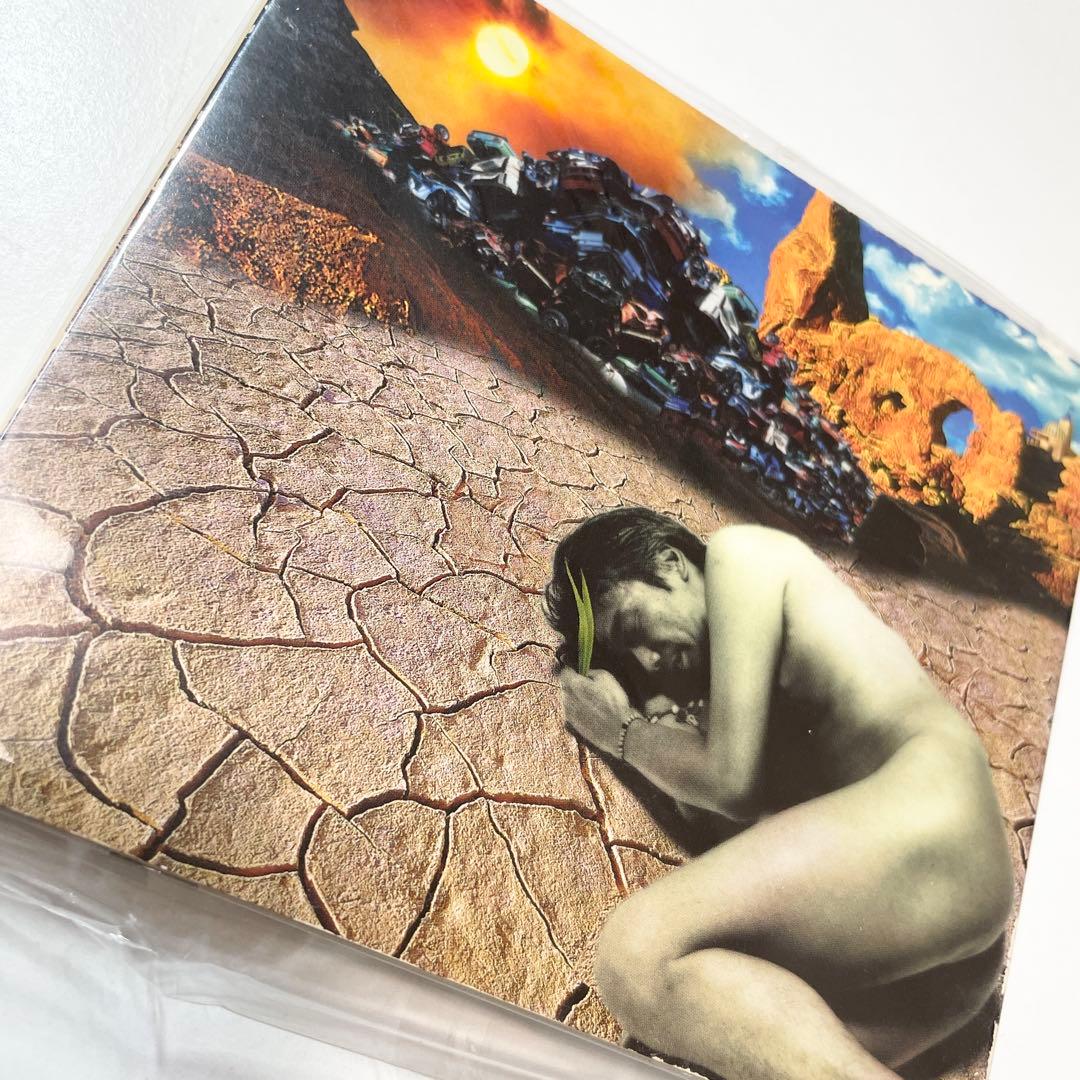 玉置浩二/JUNK LAND - メルカリ