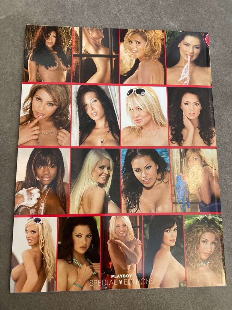 PLAYBOY'S NUDES 特別版　2008年