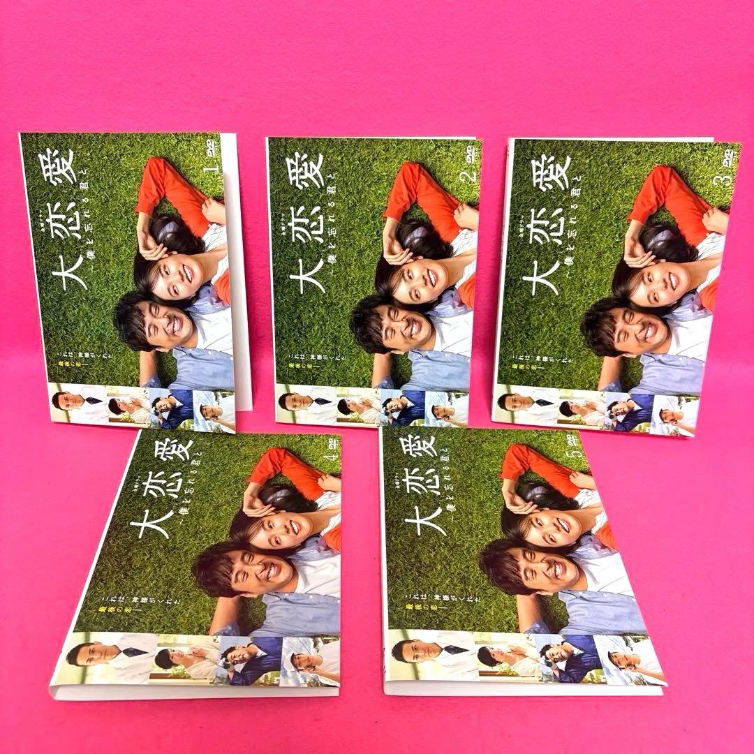 大恋愛～僕を忘れる君と DVD 全5卷 全卷セット レンタル 戸田恵梨香