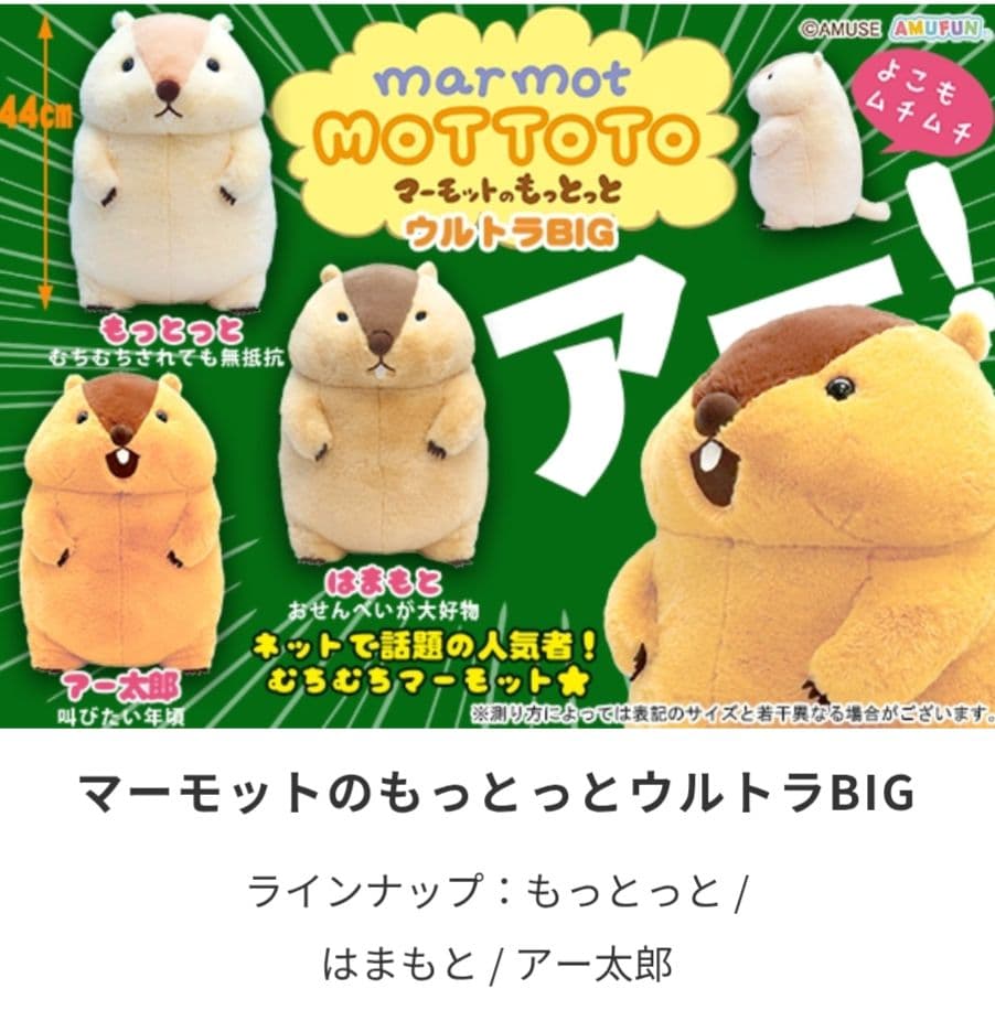 週末最終セール！！マーモットのもっとっと ウルトラBIG ぬいぐるみ 3