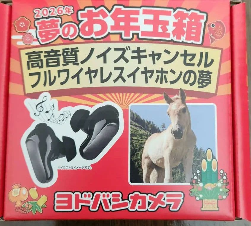 ヨドバシ 夢のお年玉箱2026 高音質ノイズキャンセルフルワイヤレス