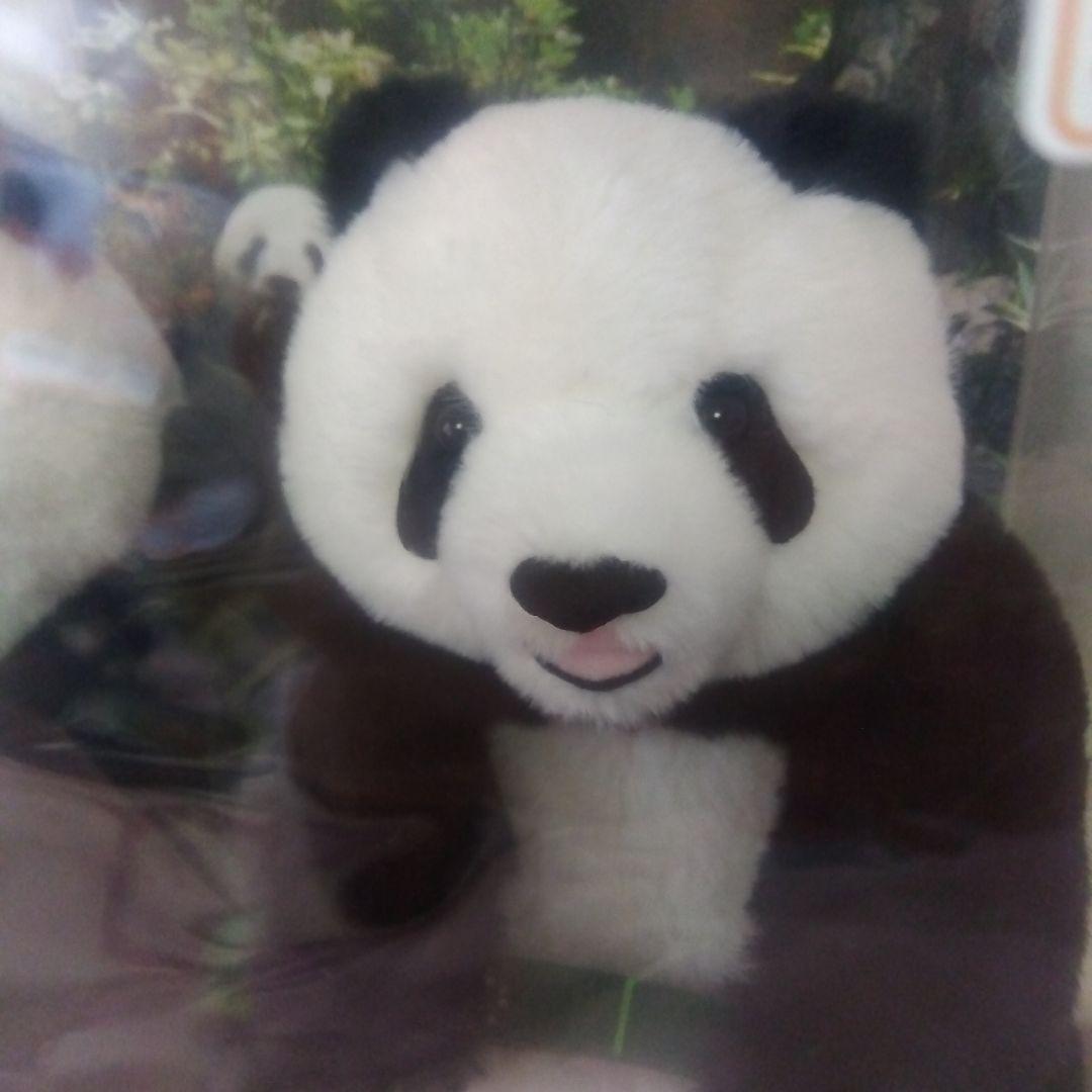 上野動物園 シャオシャオ レイレイ ぬいぐるみ - メルカリ