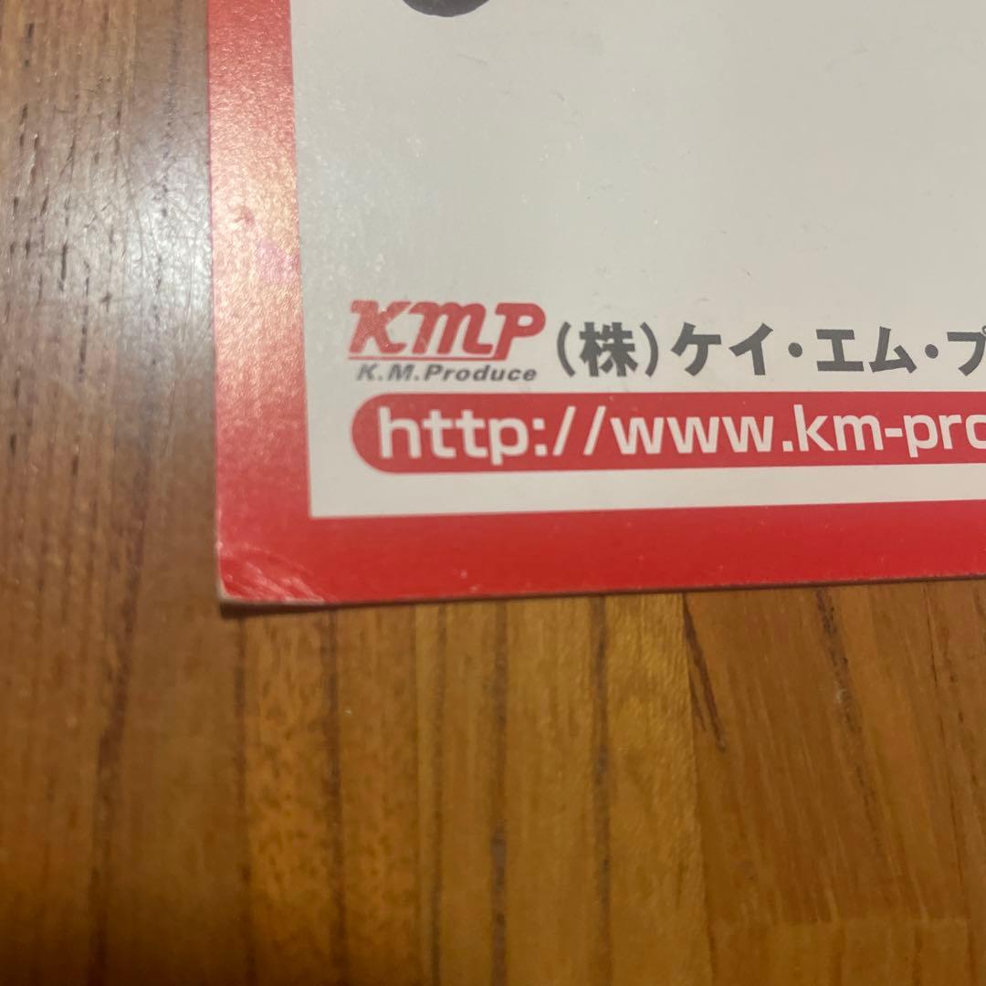 及川奈央 女優 タレント 直筆 サイン 色紙 希少 レア 生写真 KMP