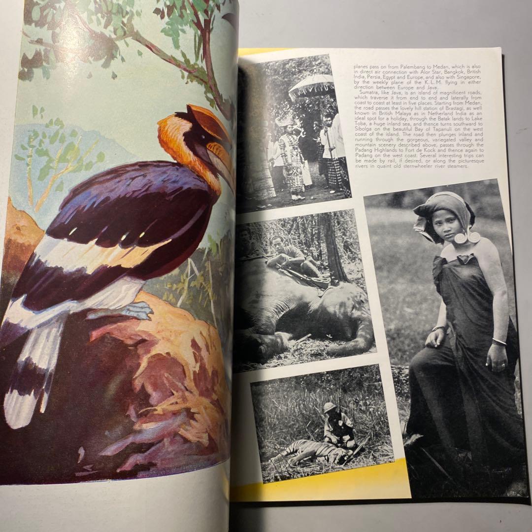 ビンテージ】1933 The Netherland Indies豪華パンフ