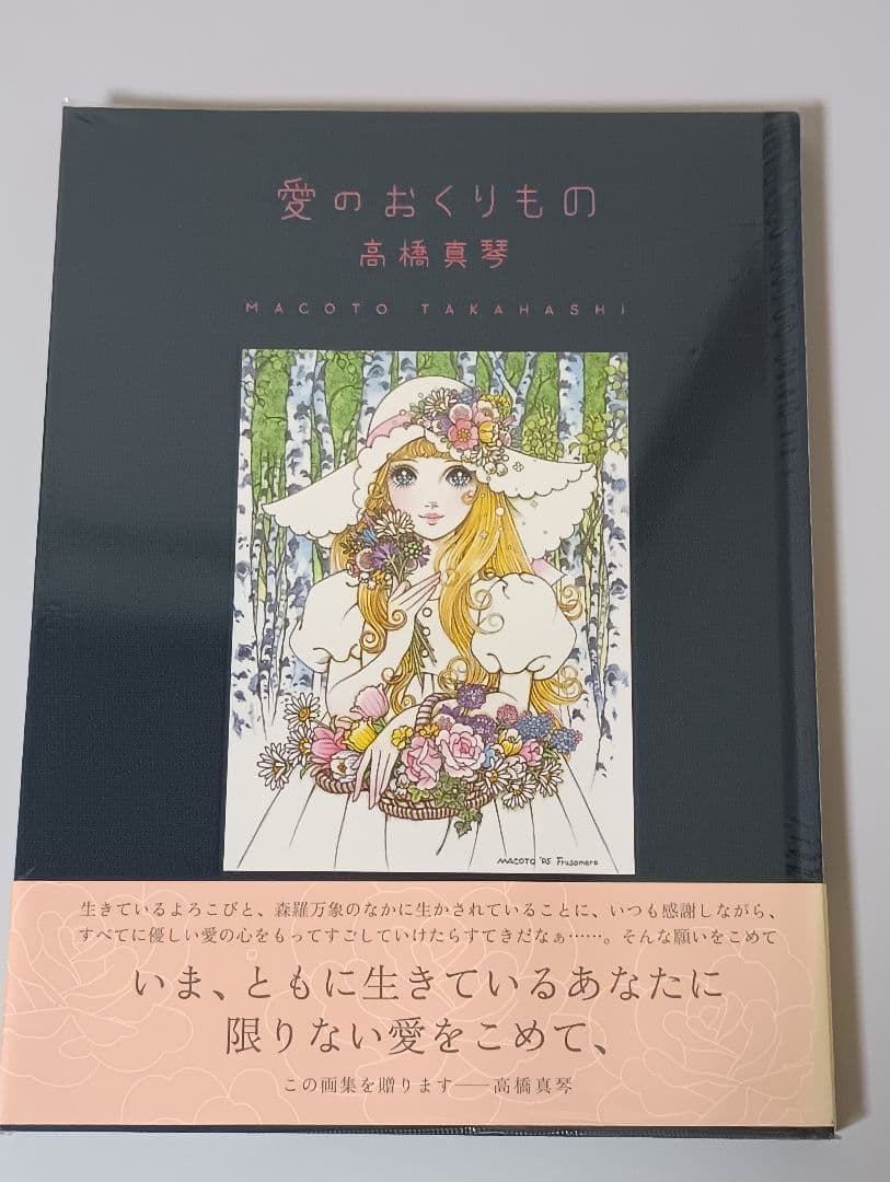 高橋真琴 愛のおくりもの 画集 Amazon.co.jp: 高橋真琴画集 愛のおくりもの : 高橋 真琴: 本