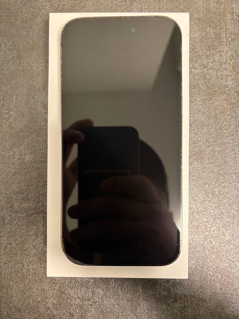 Apple iPhone 14 Pro SIMフリー iPhone 14 Pro 256GB - シルバー（SIMフリー）[整備済製品] - Apple