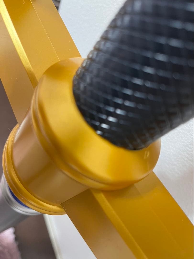 らいじんです★