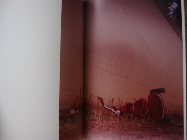 NYMPH DAUGHTERS / Todd Hido : トッド・ハイド