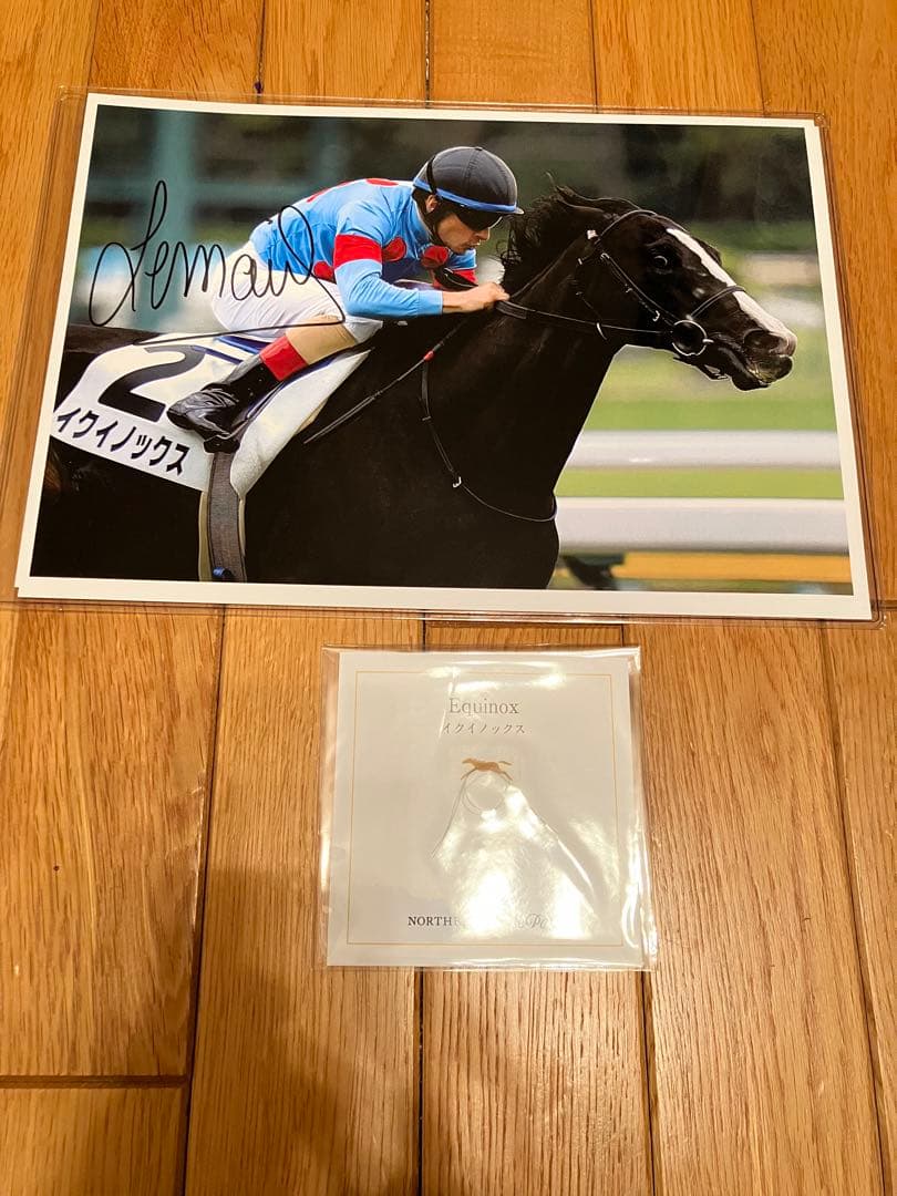 イクイノックス　2021 メイクデビュー　ルメール騎手直筆サイン　鬣　一本　台紙 イクイノックス 2021 メイクデビュー ルメール騎手直筆サイン 鬣 一本