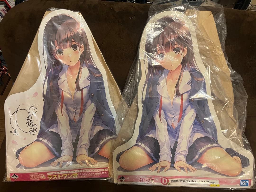 一番くじ 冴えない彼女の育てかたFine D賞 ラストワン 劇場版「冴えない彼女の育てかた Fine」の一番くじが登場！ 描きおろし