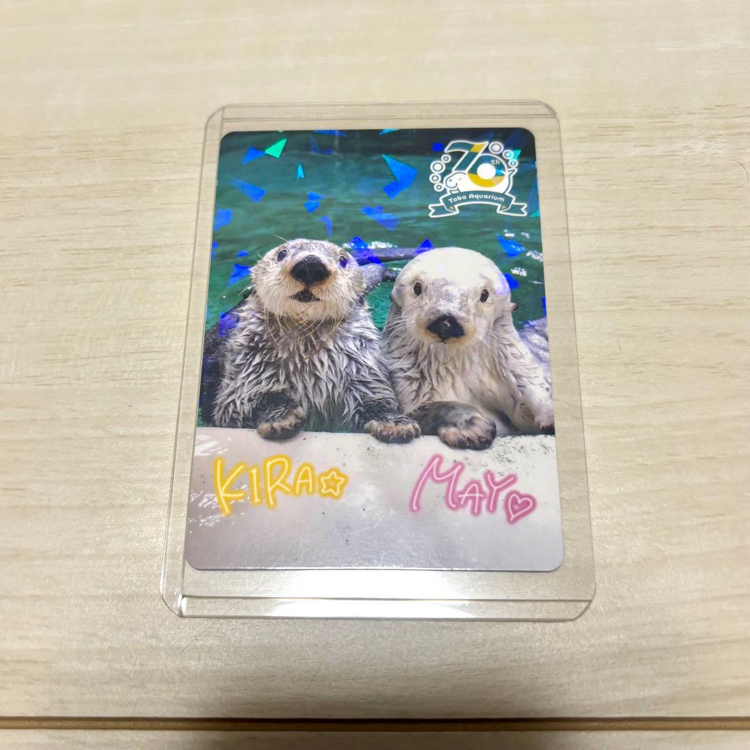 N*K様 鳥羽水族館 70周年 コレクションカード レア キラメイ - メルカリ