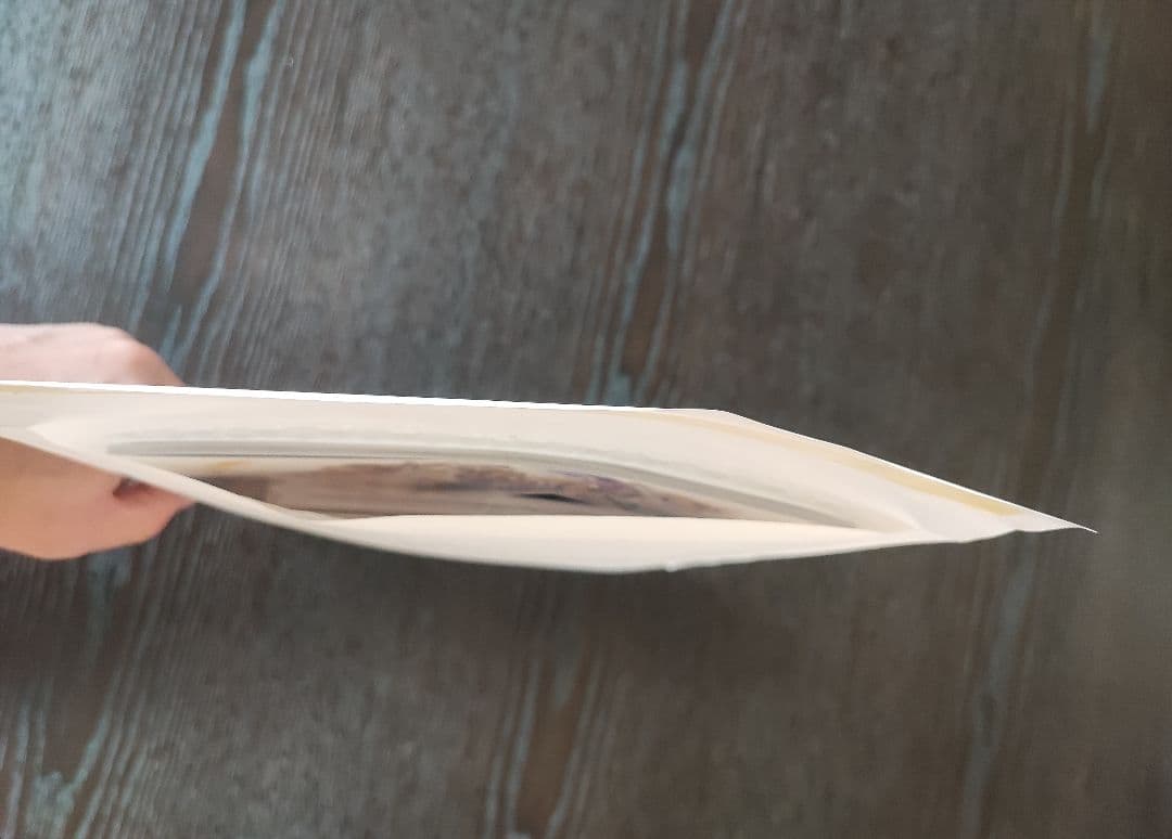 新品/未開封/未使用品 グラブルフェス2024 パンフレット アートブック