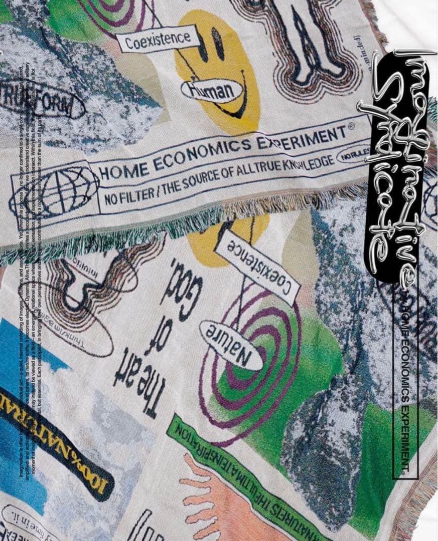 HOME ECONOMICS EXPERIMENT ラグ マット - メルカリ