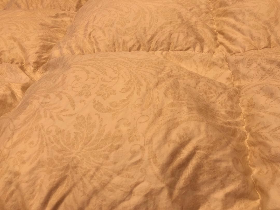 東京西川 超長綿100% フランス産マザーグースダウン93% 1.2k 一層