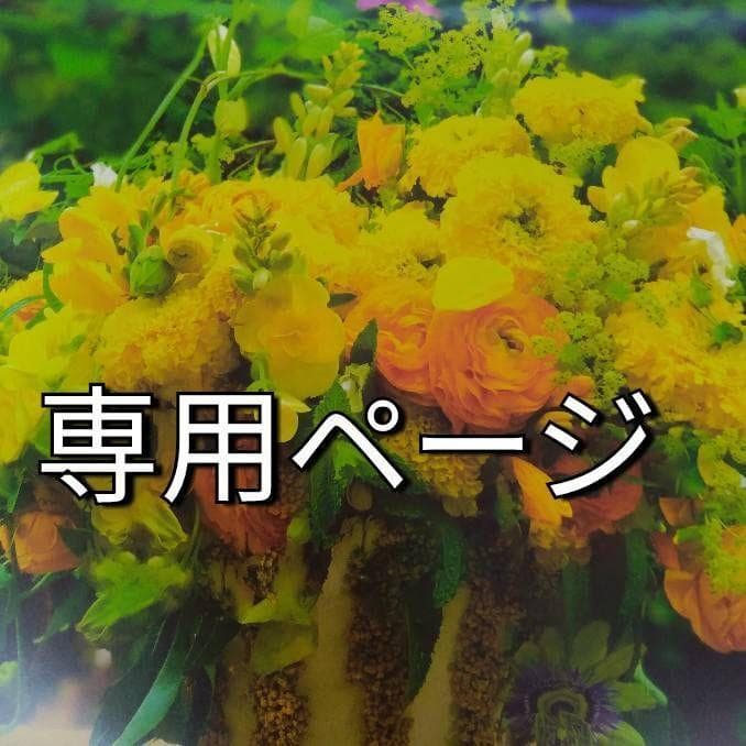 特別価格リサージスキンメインテナイザーSTM2レフィル2点 - メルカリ