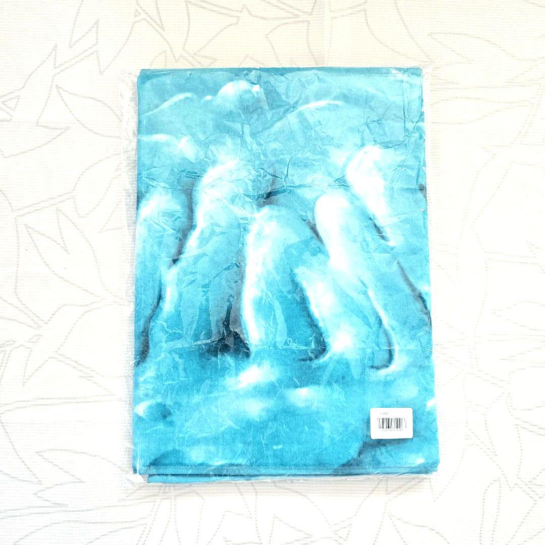 RADWIMPS 2025 ロングフェイス タオル フェス グッズ - メルカリ