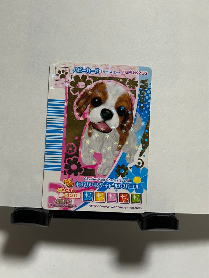 ワンタメ 【 パピーカード4枚セット＋おまけ2枚付 】 - メルカリ
