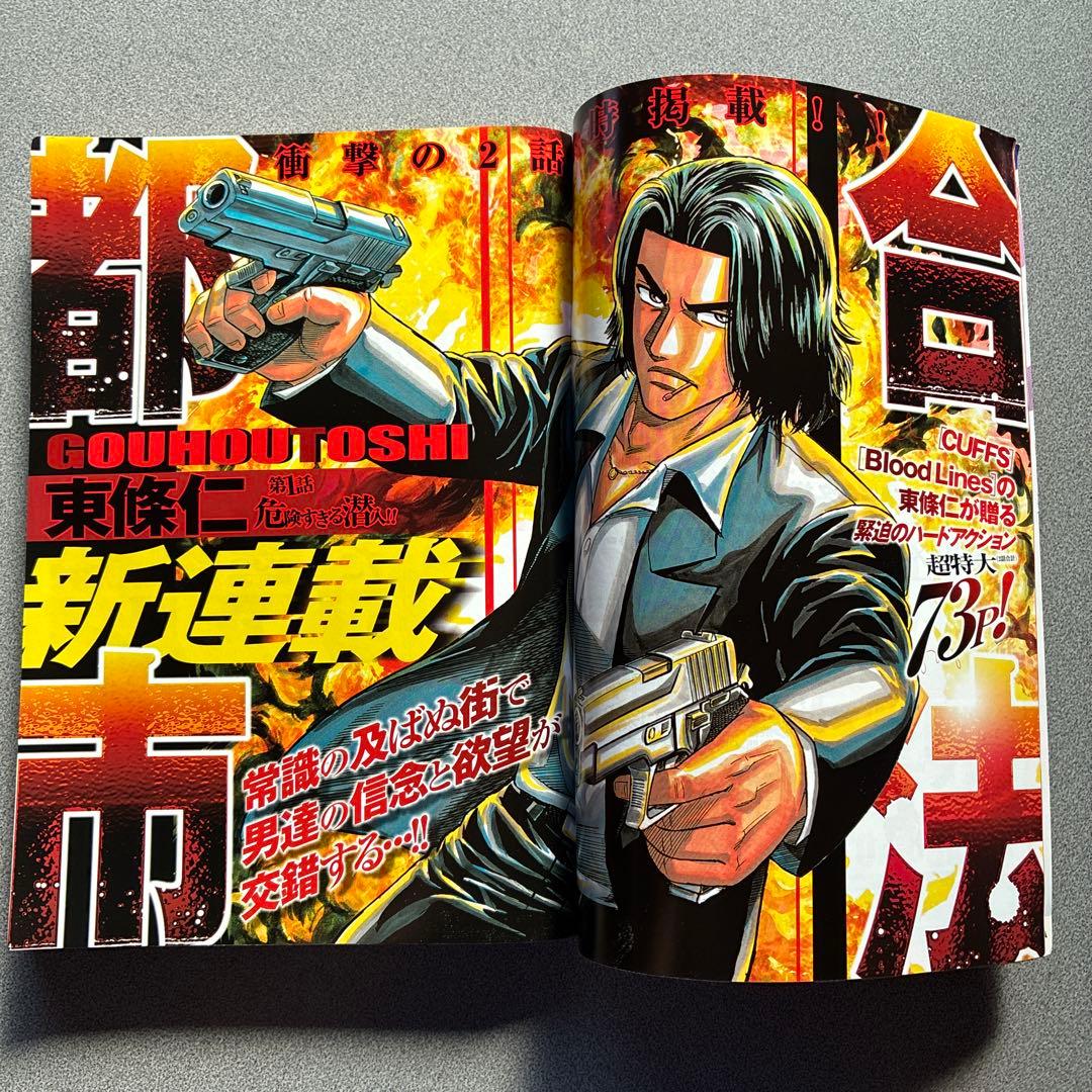 ヤングジャンプ　2008年48号　篠崎愛　初表紙　付録　ピンナップ　ポスター