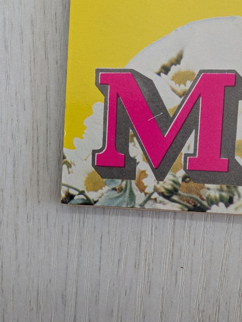 【天地真理】1973『 ヤングアイドルナウ VOL.2 晩秋号』中古品※特典付